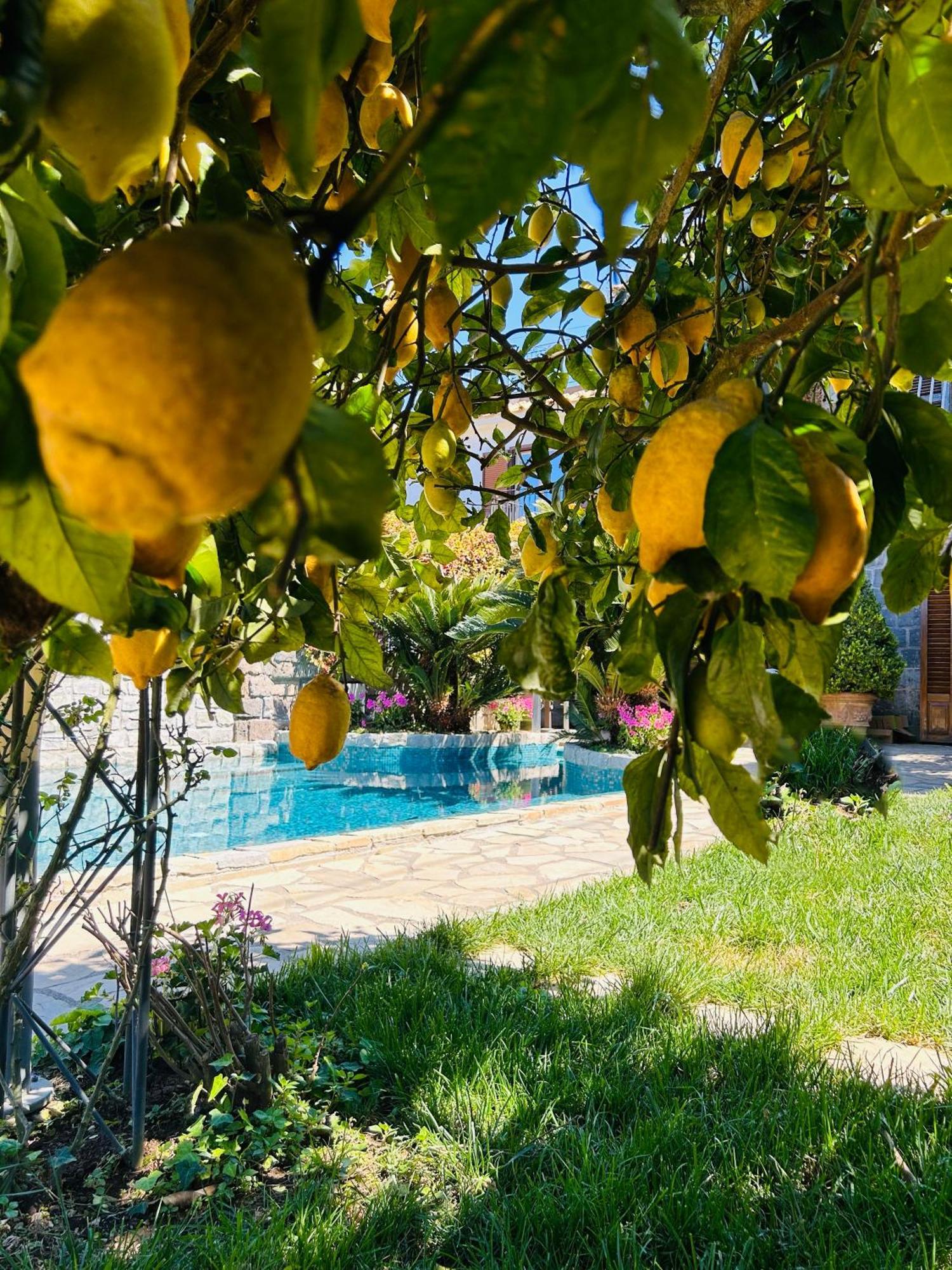 Maison Villa Angela Сант-Агата-суи-Дуэ-Гольфи Экстерьер фото